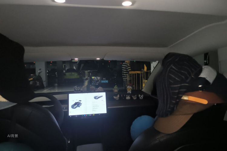 Tesla Model 3 2020 #20 Tesla Model 3 2020 car image #20