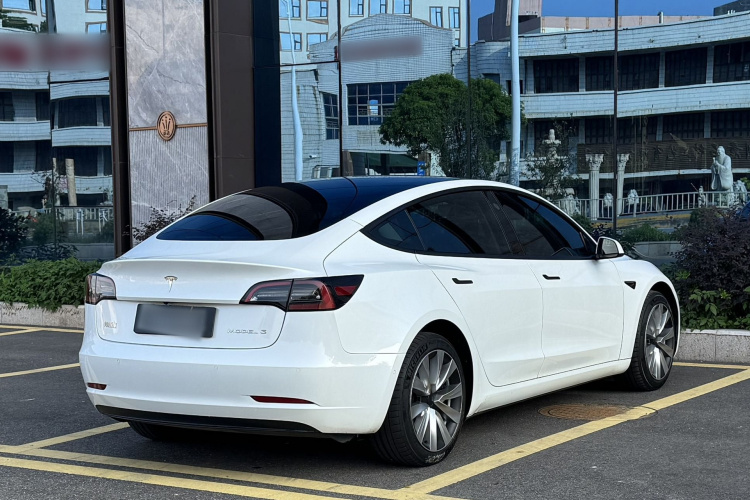Tesla Model 3 2022 car image #7