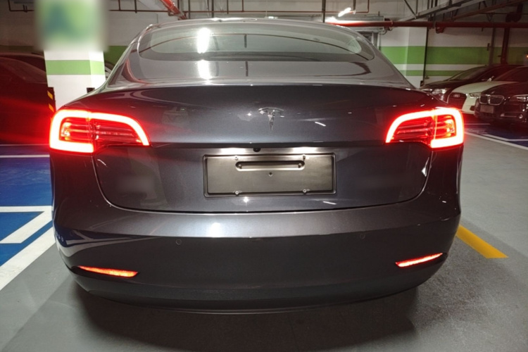 Tesla Model 3 2020 car image #6