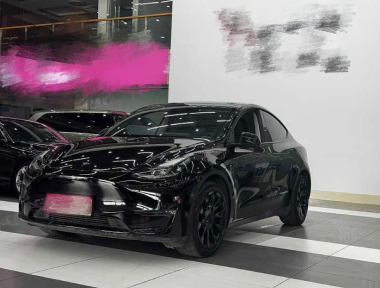 Tesla Model Y 2021 car image 