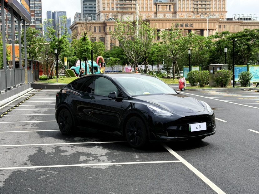 Tesla Model Y 2022 #2 Tesla Model Y 2022 car image #2