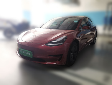 Tesla Model 3 2020 Tesla Model 3 2020 car image