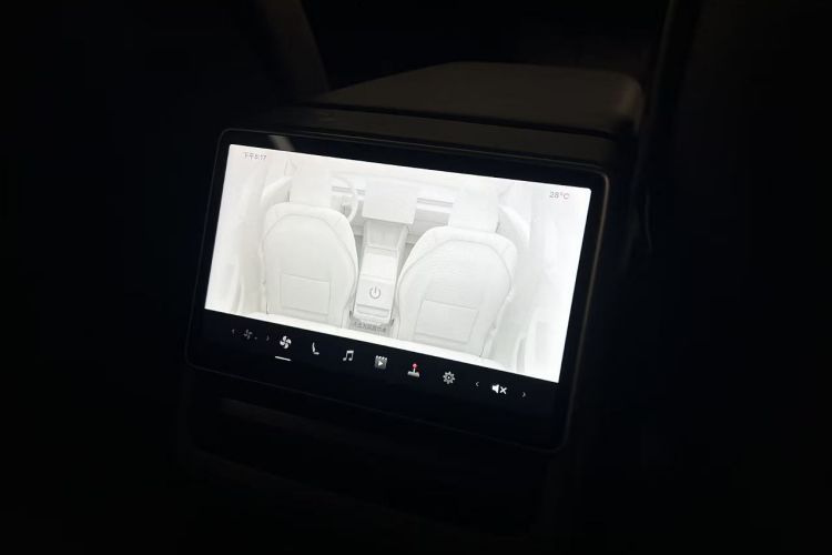 Tesla Model 3 2025 car image #16