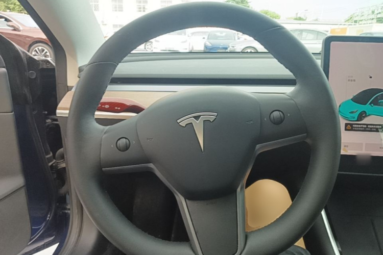 Tesla Model 3 2020 immagine di auto #11
