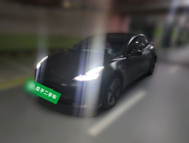 Tesla Model 3 2021 Tesla Model 3 2021 car image