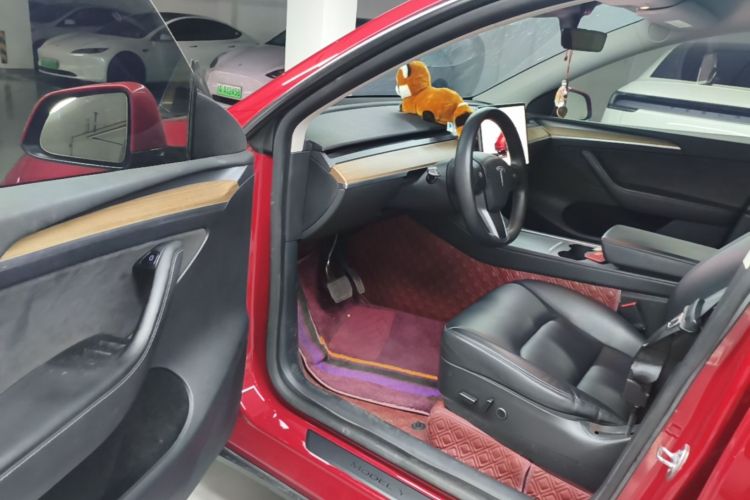 Tesla Model Y 2021 car image #16