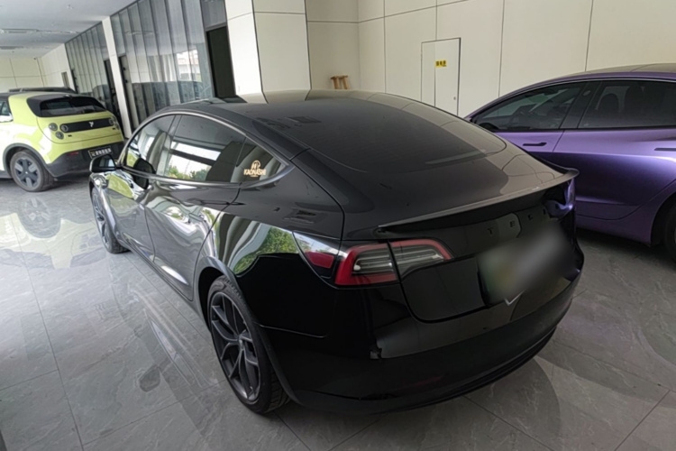 Tesla Model 3 2021 #5 Tesla Model 3 2021 car image #5