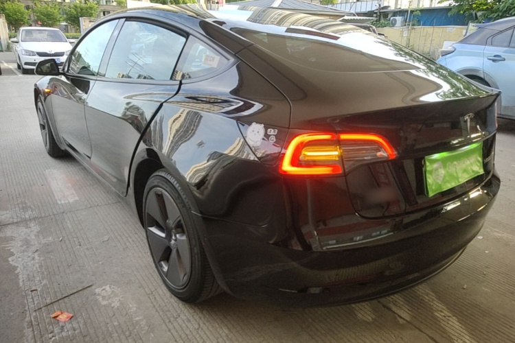 Tesla Model 3 2023 #7 Tesla Model 3 2023 car image #7