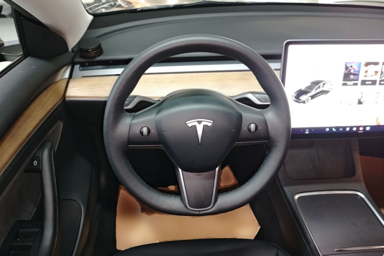 Tesla Model 3 2021 car image #11