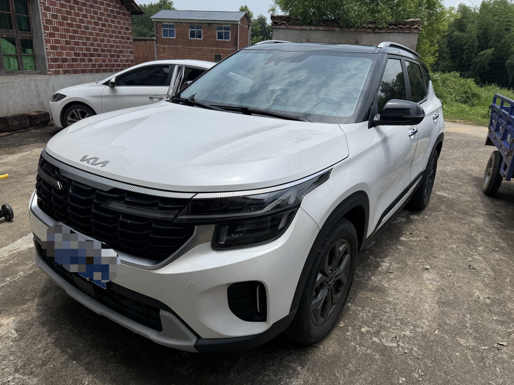 Kia Seltos 2024 car image 