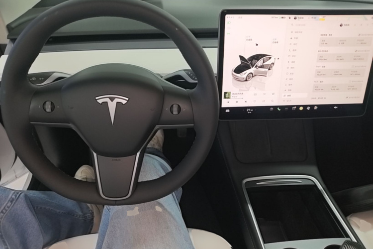 Tesla Model 3 2022 car image #10
