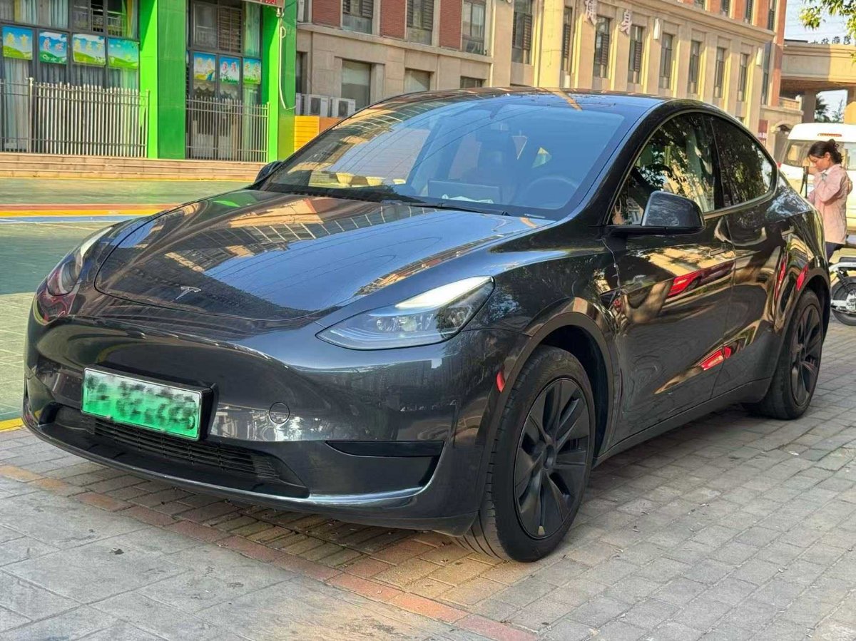 Tesla Model Y 2024 car image 