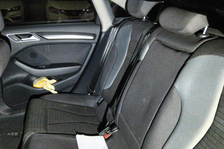 Audi A3 2017 car image #19