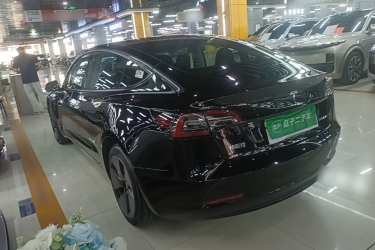 Tesla Model 3 2022 #5 Tesla Model 3 2022 car image #5