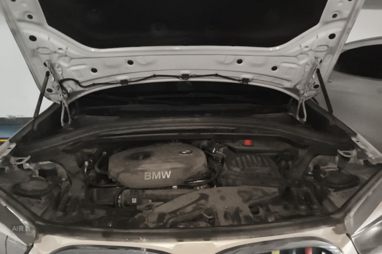 BMW X1 2017 car image #22