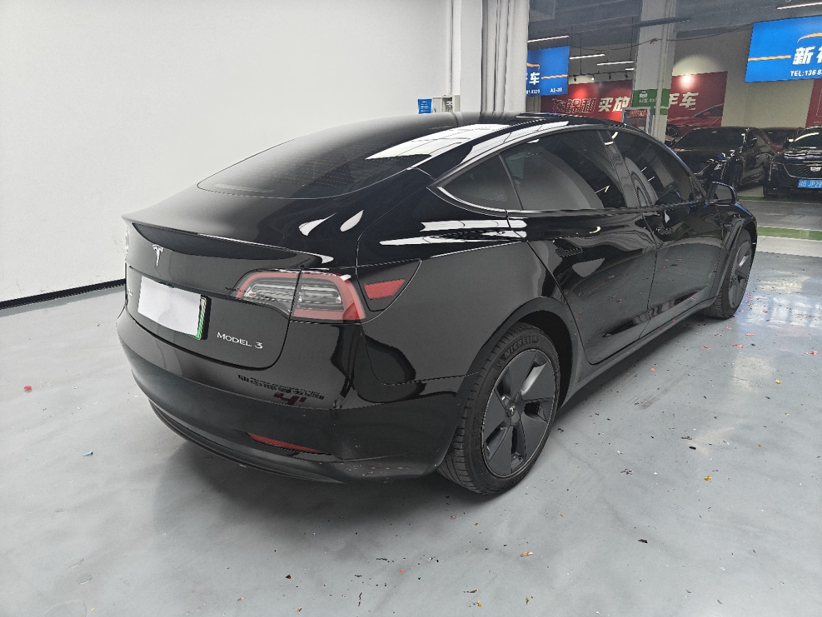 Tesla Model 3 2021 car image #14