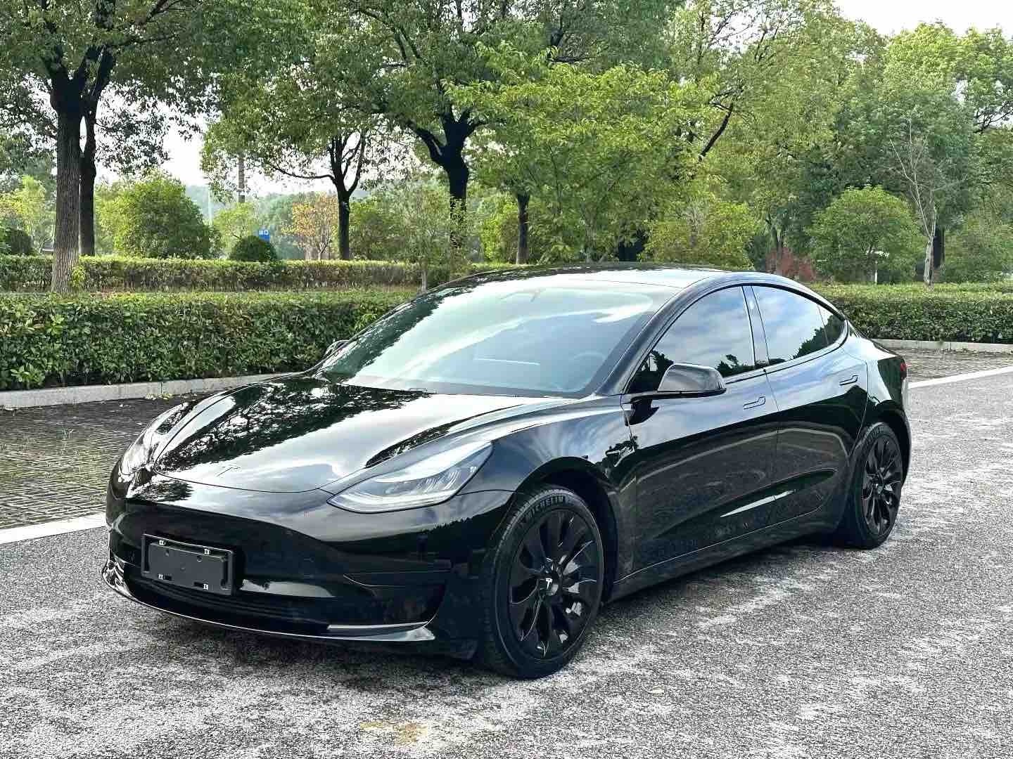 Tesla Model 3 2020 Tesla Model 3 2020 car image