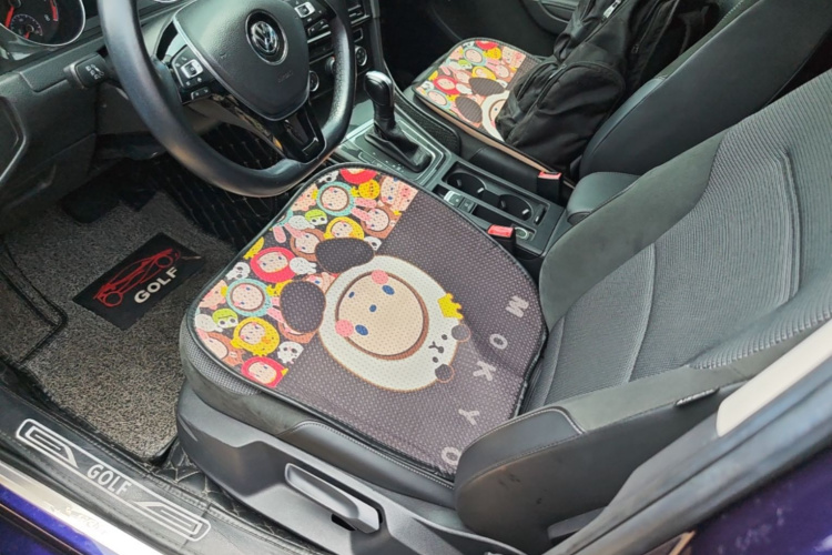 Volkswagen Golf 2019 car image #15