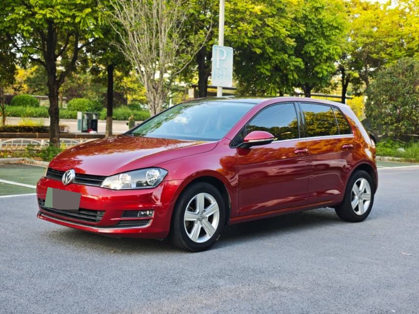 Volkswagen Golf 2014 Volkswagen Golf 2014 car image