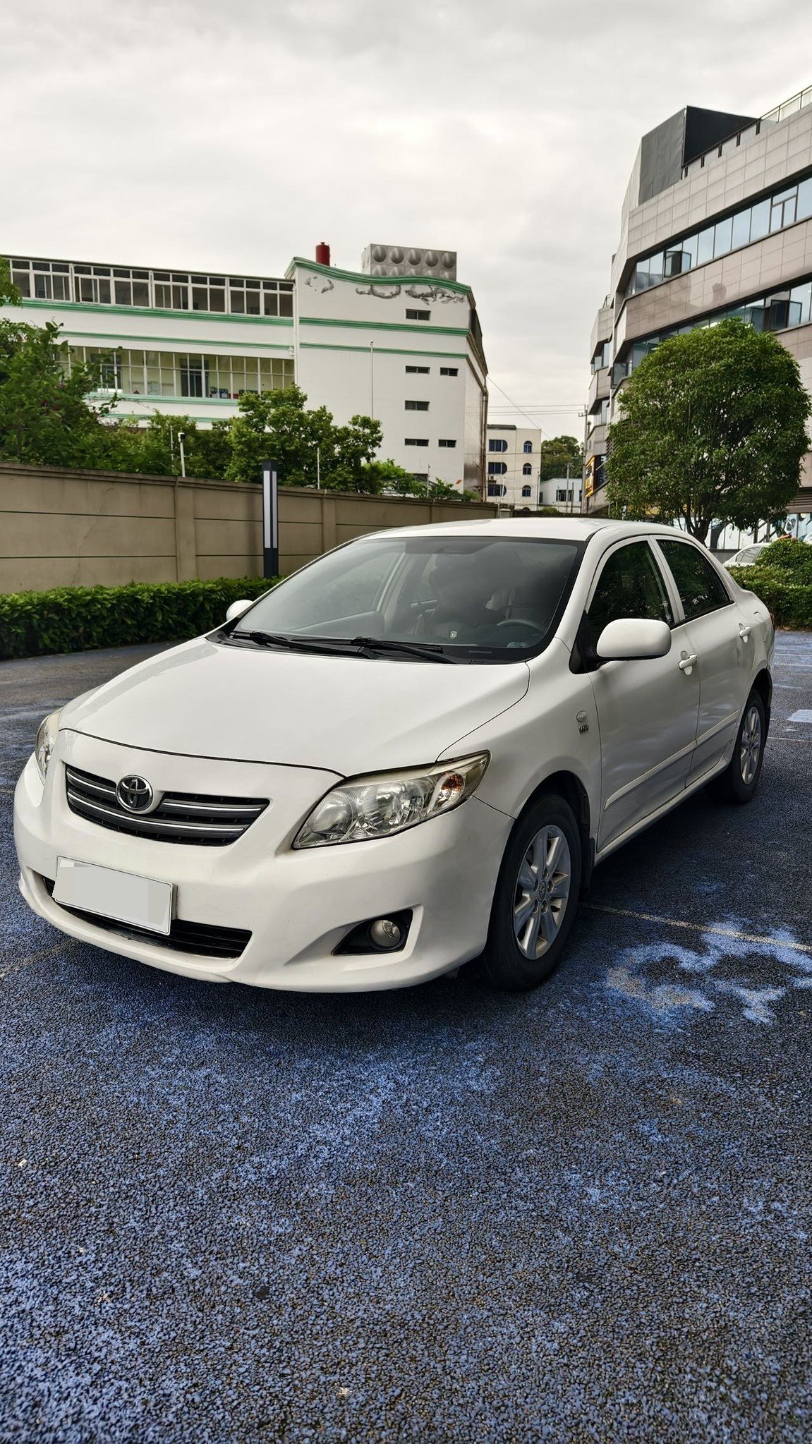 Toyota Corolla 2007 Toyota Corolla 2007 car image
