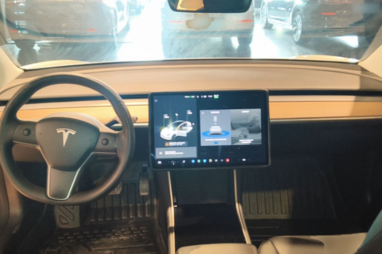 Tesla Model 3 2020 #10 Tesla Model 3 2020 car image #10