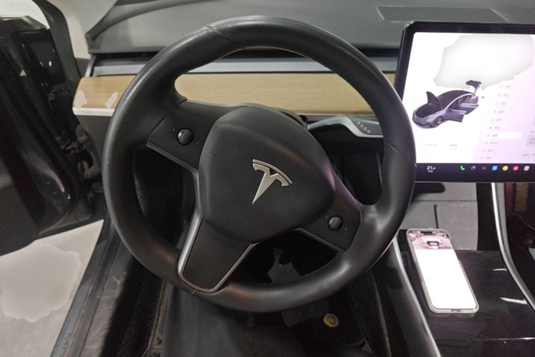 Tesla Model 3 2020 car image #11