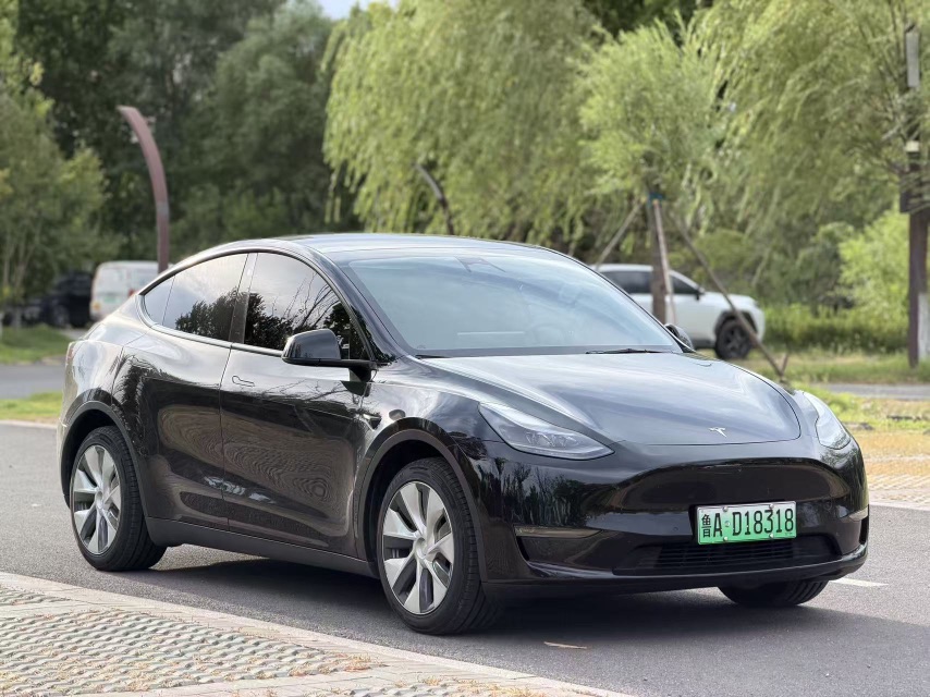 Tesla Model Y 2021 #3 Tesla Model Y 2021 car image #3