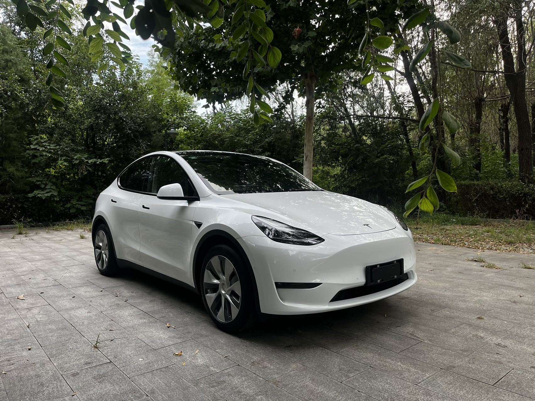 Tesla Model Y 2021 #2 Tesla Model Y 2021 car image #2