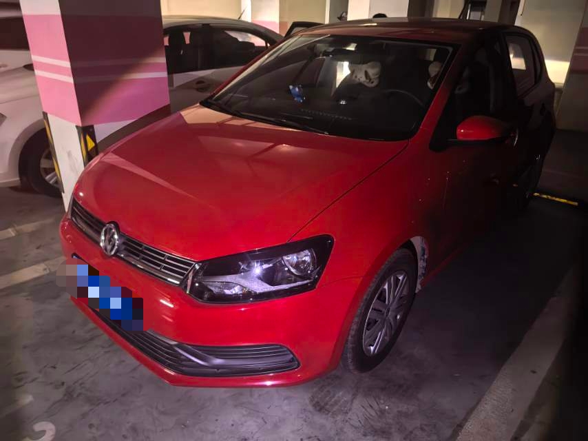 Volkswagen Polo 2016 Volkswagen Polo 2016 car image