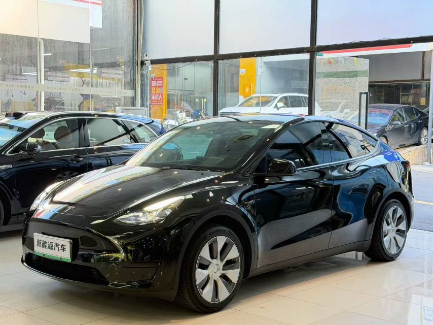 Tesla Model Y 2022 car image 