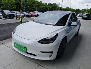 Tesla Model 3 2021 Tesla Model 3 2021 car image