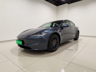 Tesla Model 3 2024 Tesla Model 3 2024 car image