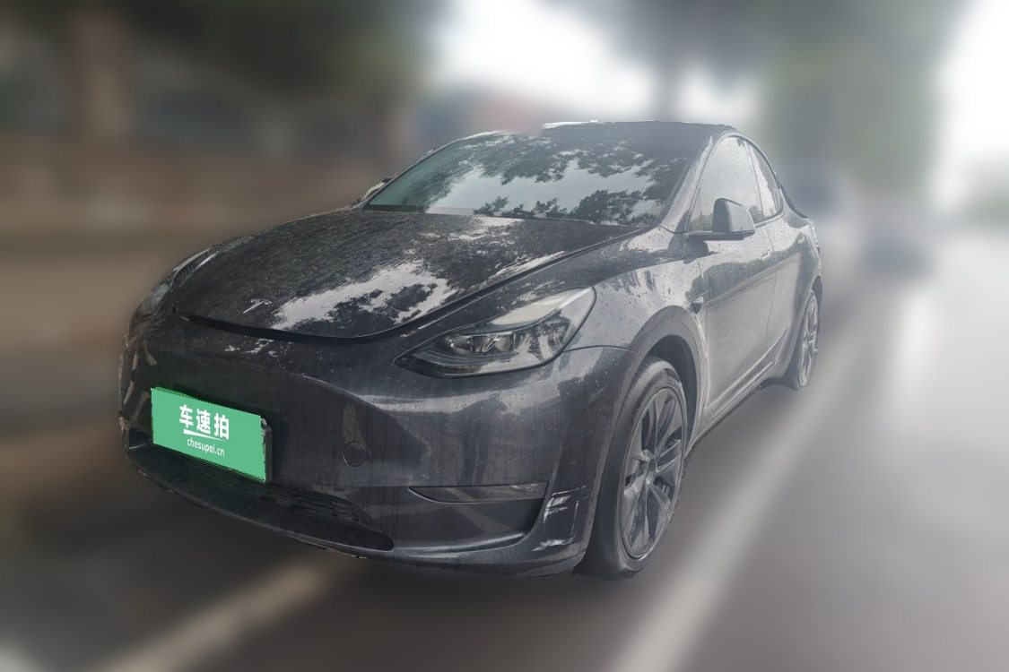 Tesla Model Y 2024 Tesla Model Y 2024 car image