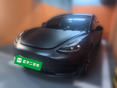 Tesla Model 3 2021 car image 