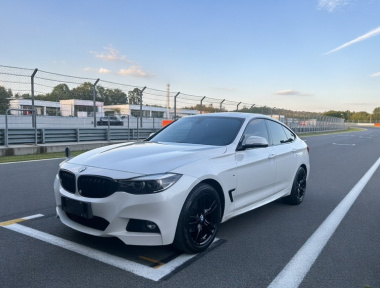 BMW 3 Series GT 2019 BMW 3 Series GT 2019 imagen de coche