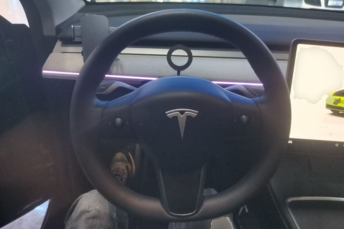 Tesla Model Y 2024 car image #16
