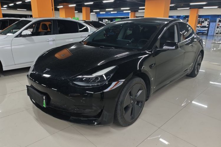 Tesla Model 3 2022 immagine di auto #2