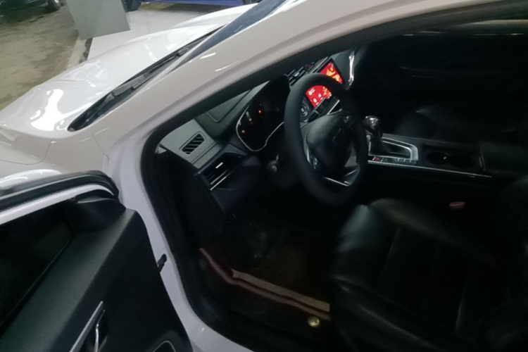 GEELY Binray 2019 imagem de carro #16