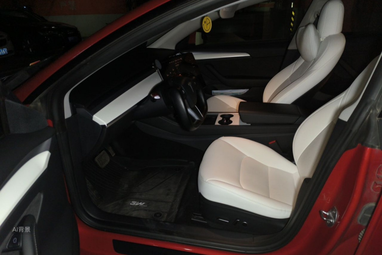 Tesla Model 3 2021 car image #18