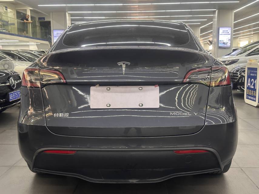 Tesla Model Y 2022 car image #8