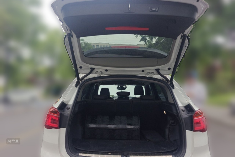 BMW X1 2017 car image #21