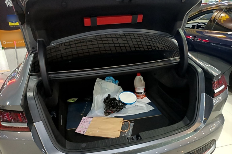 BYD Han 2021 car image #19