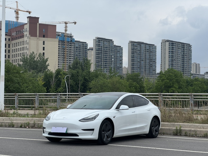Tesla Model 3 2020 car image 