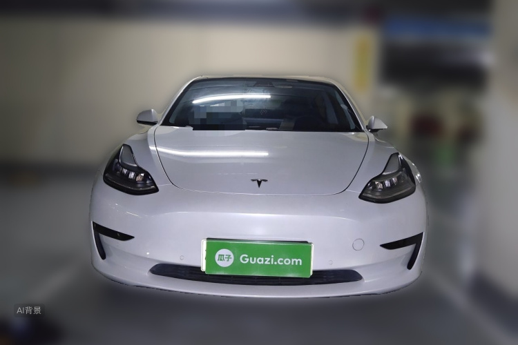 Tesla Model 3 2019 #3 Tesla Model 3 2019 car image #3