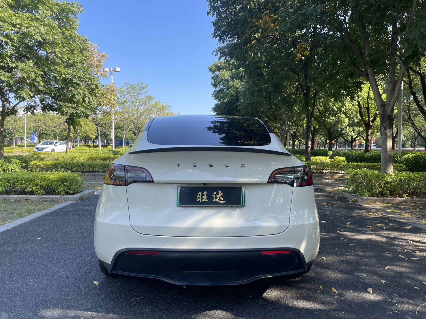 Tesla Model Y 2021 imagem de carro #8