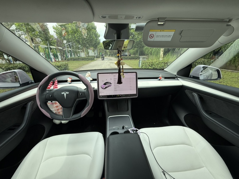 Tesla Model Y 2021 #7 Tesla Model Y 2021 car image #7