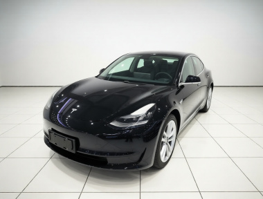 Tesla Model 3 2020 Tesla Model 3 2020 car image