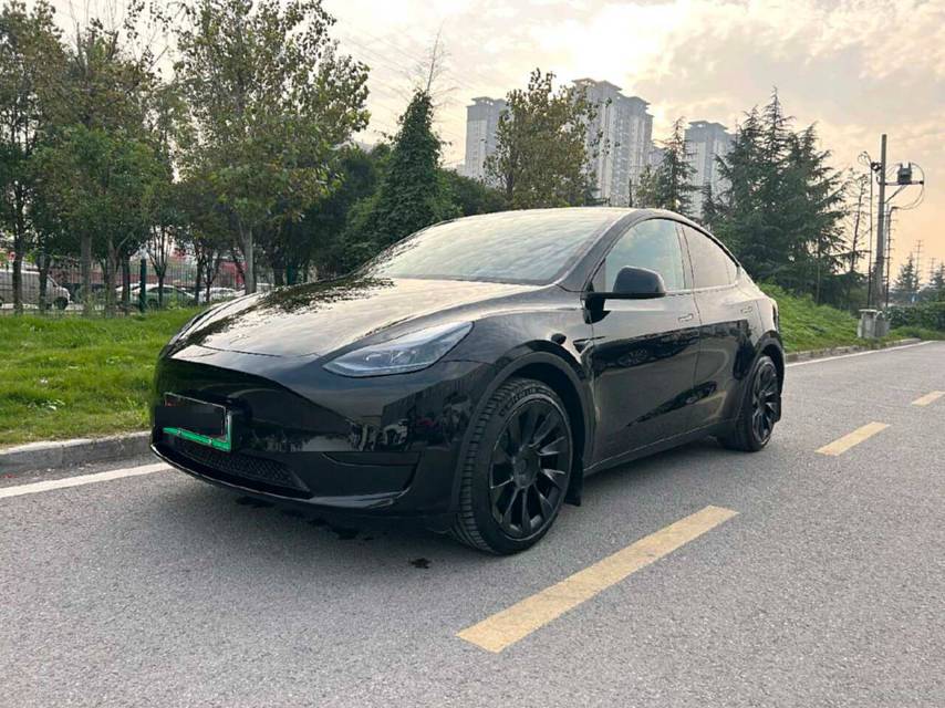 Tesla Model Y 2023 汽车图片 