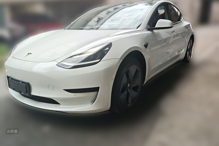Tesla Model 3 2020 car image #2
