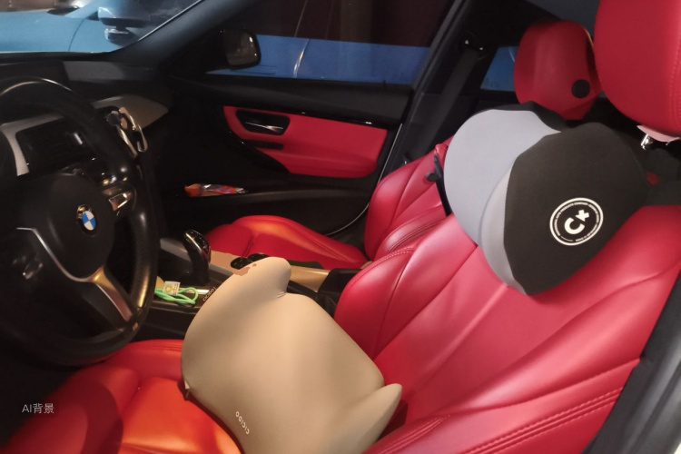BMW 3 Series 2017 immagine di auto #17